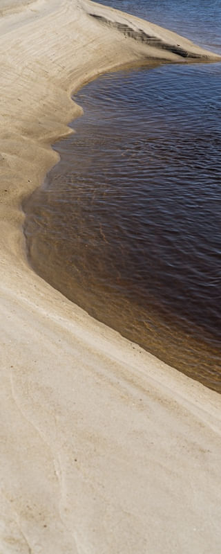 FORMAS NATURAIS VX (PANORÂMICO VERTICAL)