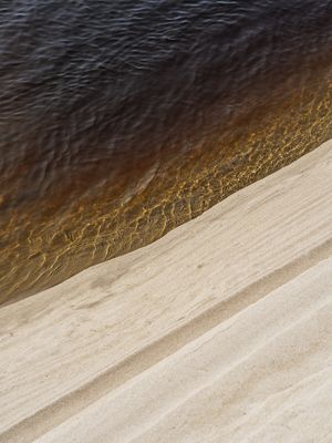 FORMAS NATURAIS VXI (RETRATO)