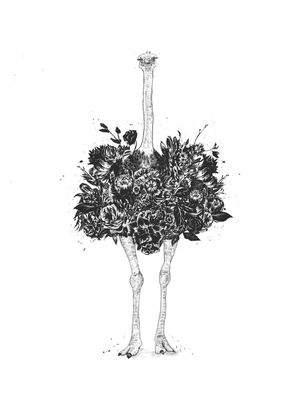FLORAL OSTRICH