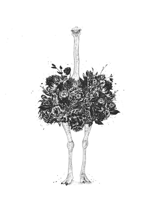 FLORAL OSTRICH