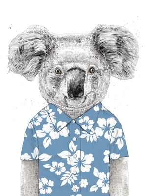 SUMMER KOALA II