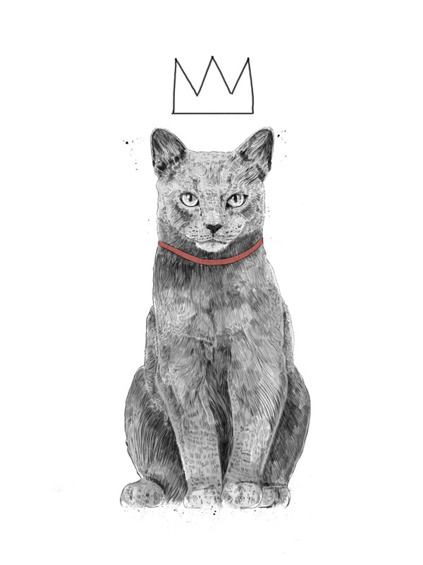 KING OF EVERYTHING