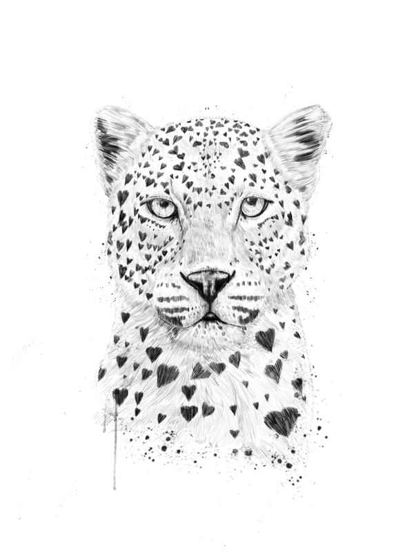 LOVELY LEOPARD II