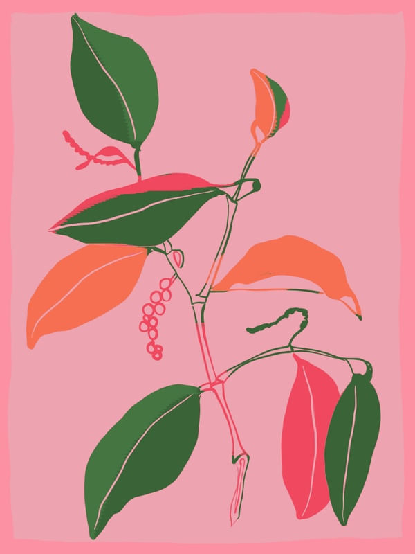 MINIMAL PLANT 44