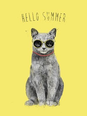 HELLO SUMMER