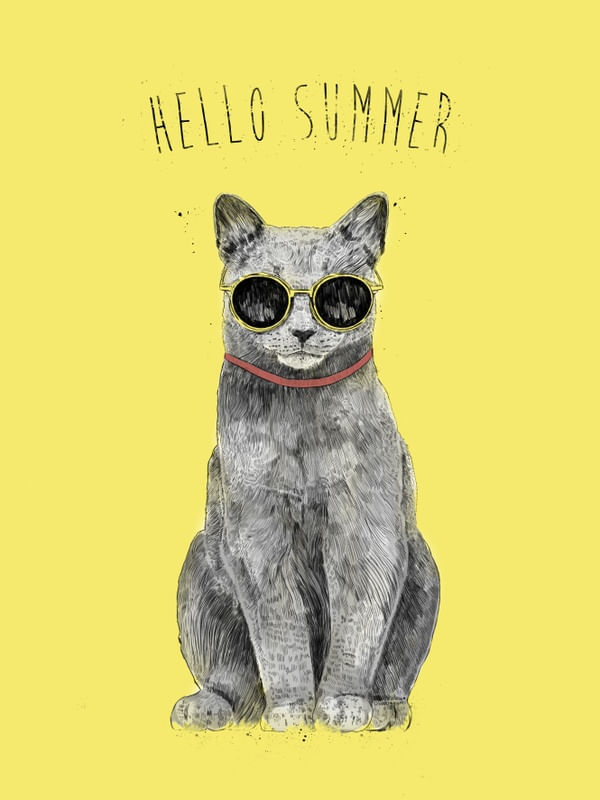 HELLO SUMMER