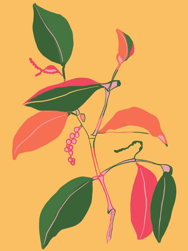 MINIMAL PLANT 43