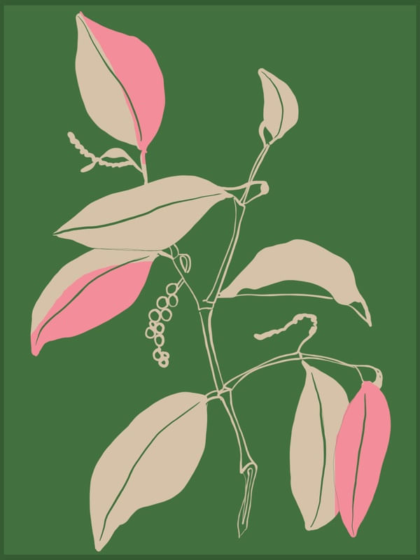 MINIMAL PLANT 46