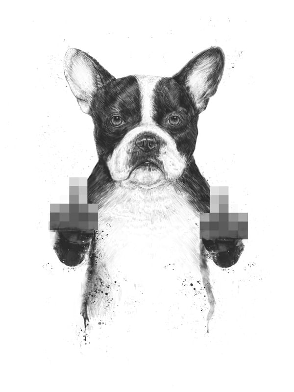 CENSORED DOG