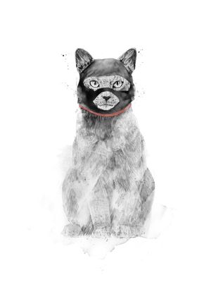 MASKED CAT