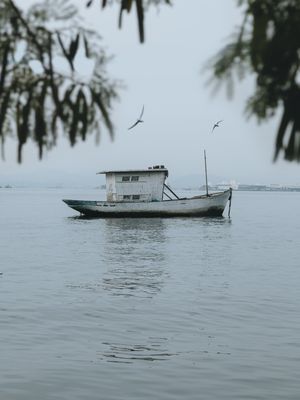 MOLDURA DE PAZ