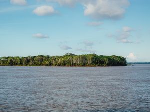 AMAZÔNIA VIVA