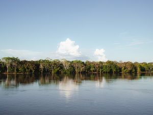 AMAZÔNICA VIVA 2