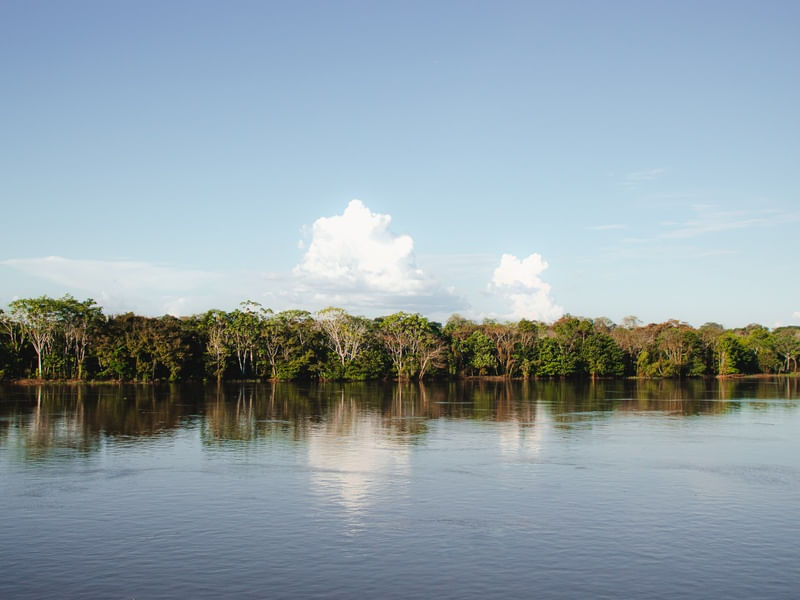 AMAZÔNICA VIVA 2