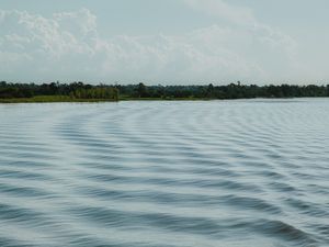 TEXTURAS DO RIO AMAZONAS