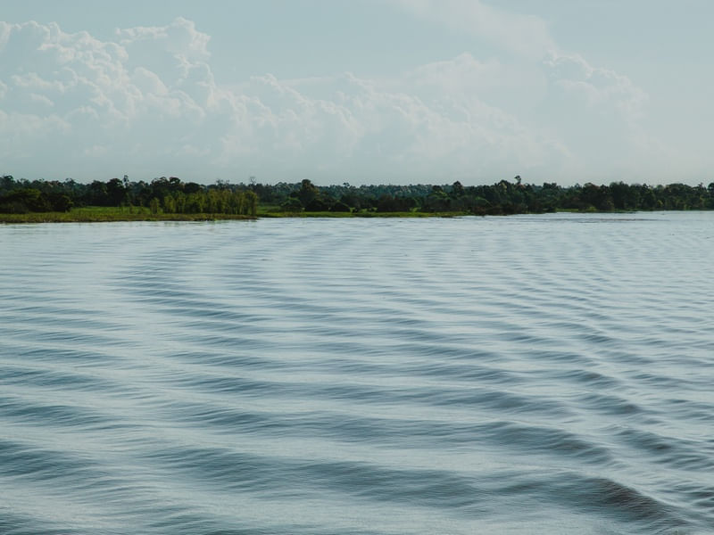 TEXTURAS DO RIO AMAZONAS