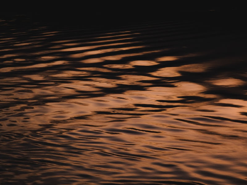 TEXTURAS DO RIO AMAZONAS 2