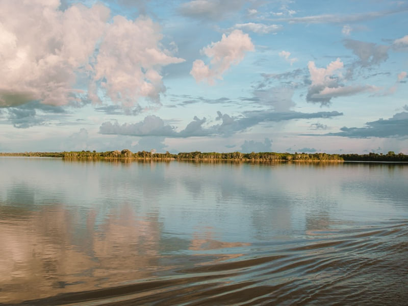AMAZÔNIA VIVA 3