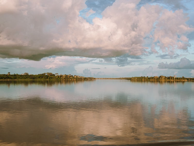 AMAZÔNIA VIVA 4