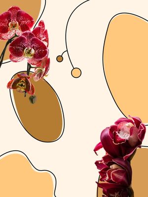 ORQUIDEAS VERMELHAS COM FUNDO ABSTRATO AMARELO