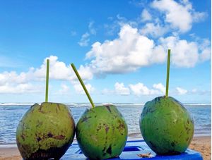 CÔCOS GELADOS NA PRAIA