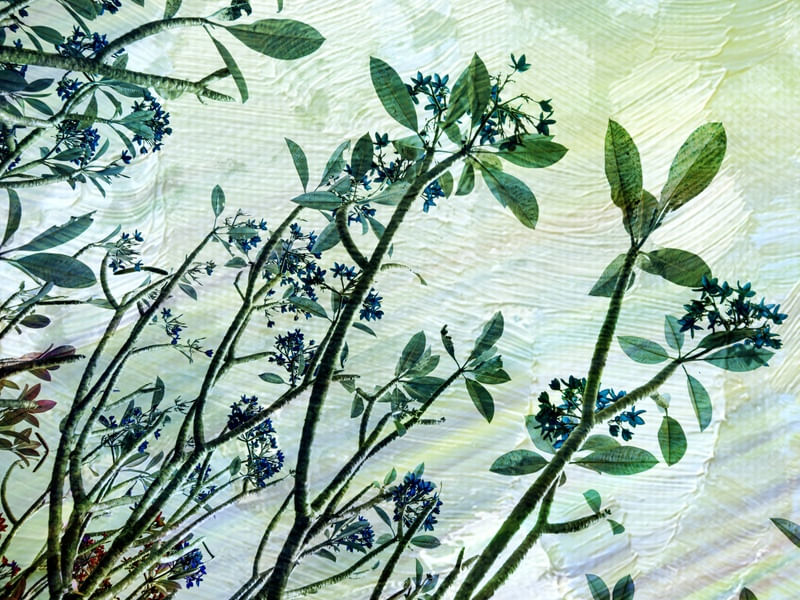 BLU FIORE