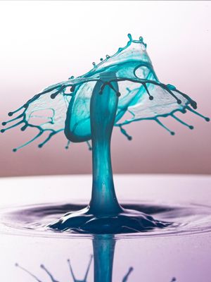 GOTA GOGUMELO - TURQUESA