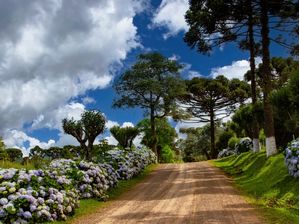 CAMINHOS DA MINHA TERRA - SÃO JOSÉ DO CERRITO SC