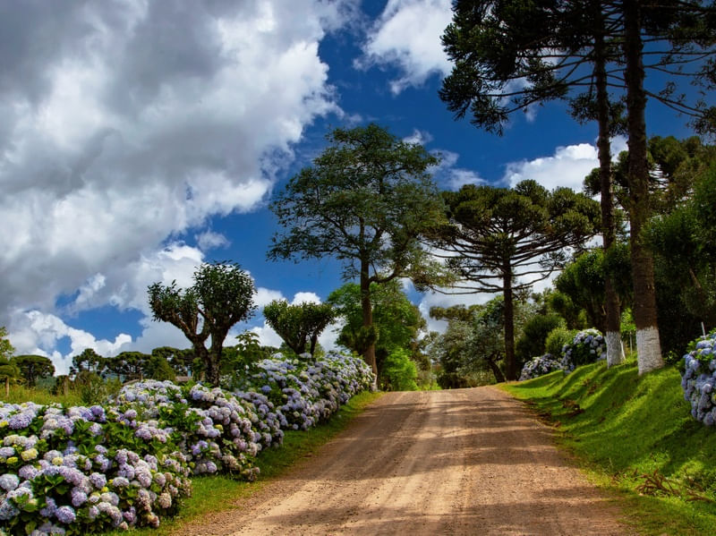 CAMINHOS DA MINHA TERRA - SÃO JOSÉ DO CERRITO SC
