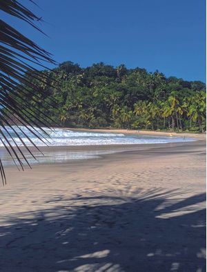 SOMBRA DA PRAINHA