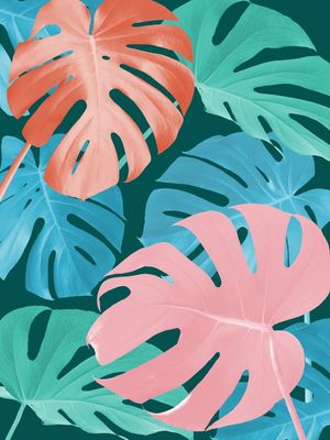 MINIMAL FLORAL 17