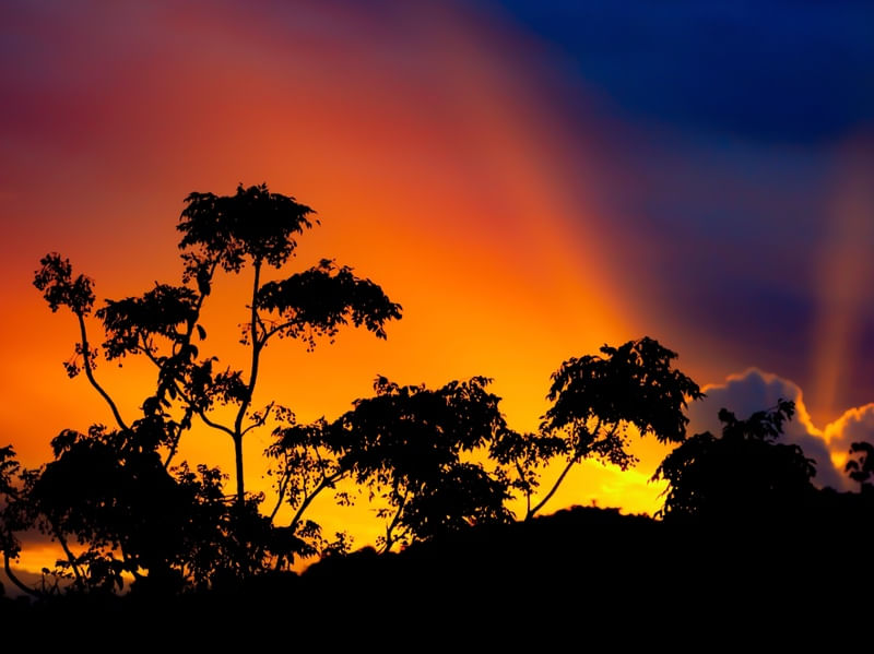 DA SERIE SACADA DO MEU AP - PANTANAL - FLORIANÓPOLIS SC