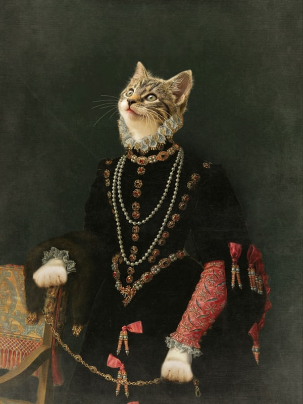 GATO VINTAGE