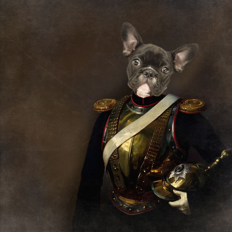 BULLDOG FRANCES RETRO