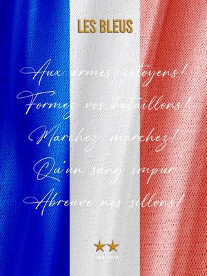 CAMPEÕES MUNDIAIS FRANÇA