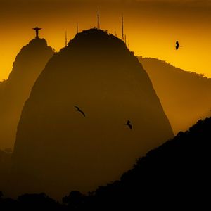 AVES ABENÇOADAS