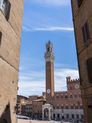 FRAMED SIENA