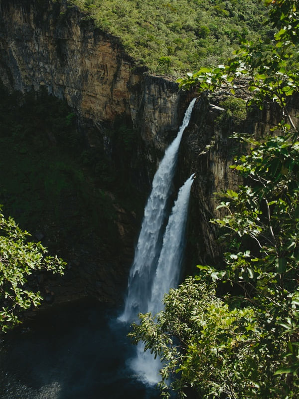 SALTOS