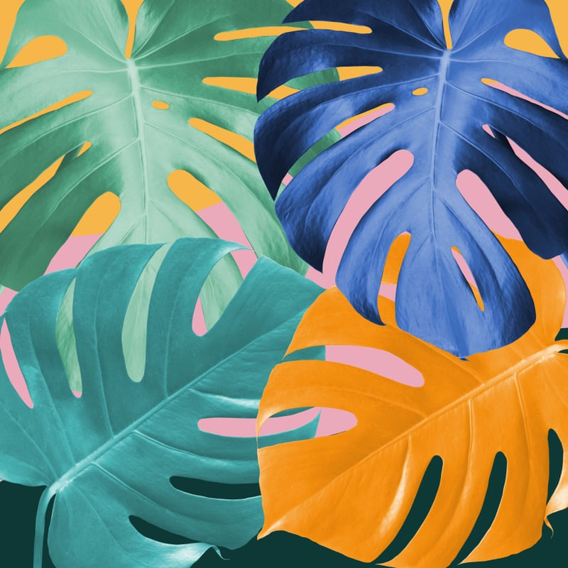 MINIMAL FLORAL 20