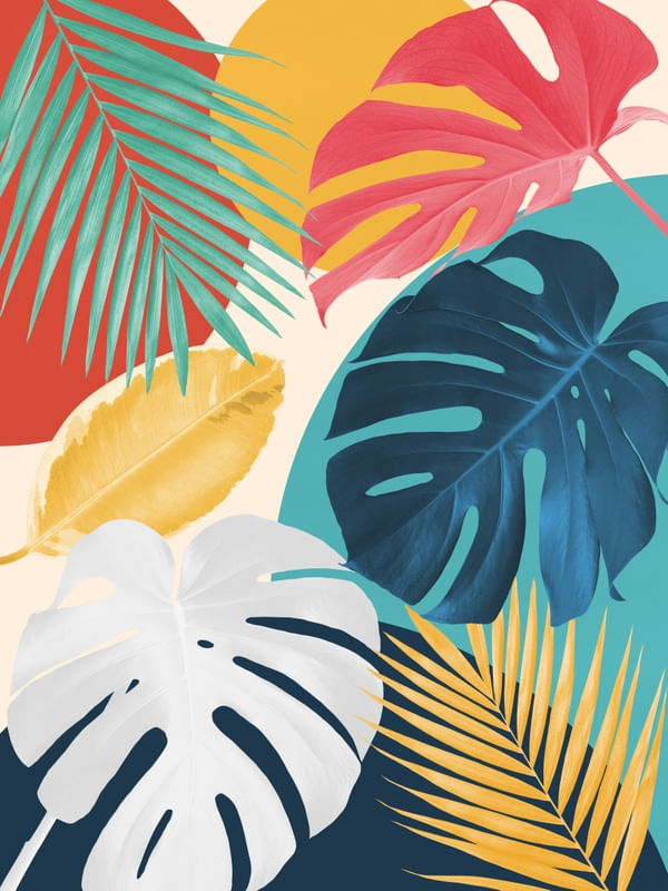 MINIMAL FLORAL 31