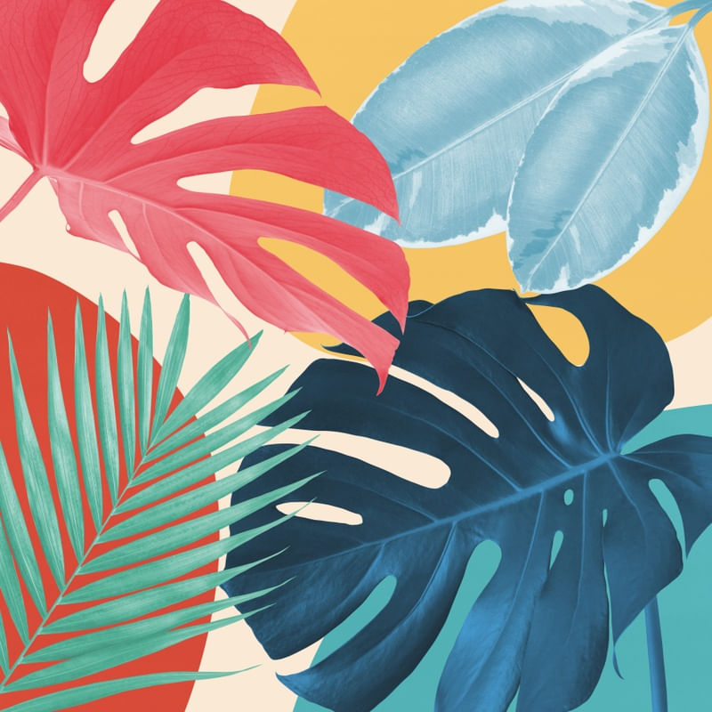 MINIMAL FLORAL 32