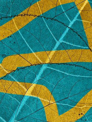 SEIVA DA FOLHA ZIGZAG