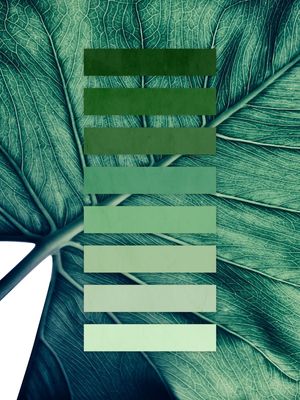 PANTONE NATURAL
