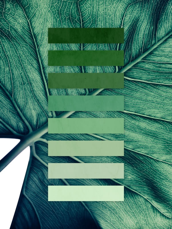 PANTONE NATURAL
