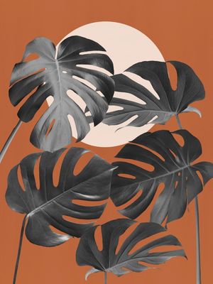 MINIMAL FLORAL 33