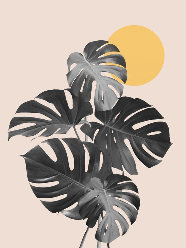 MINIMAL FLORAL 34