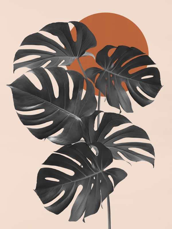 MINIMAL FLORAL 35