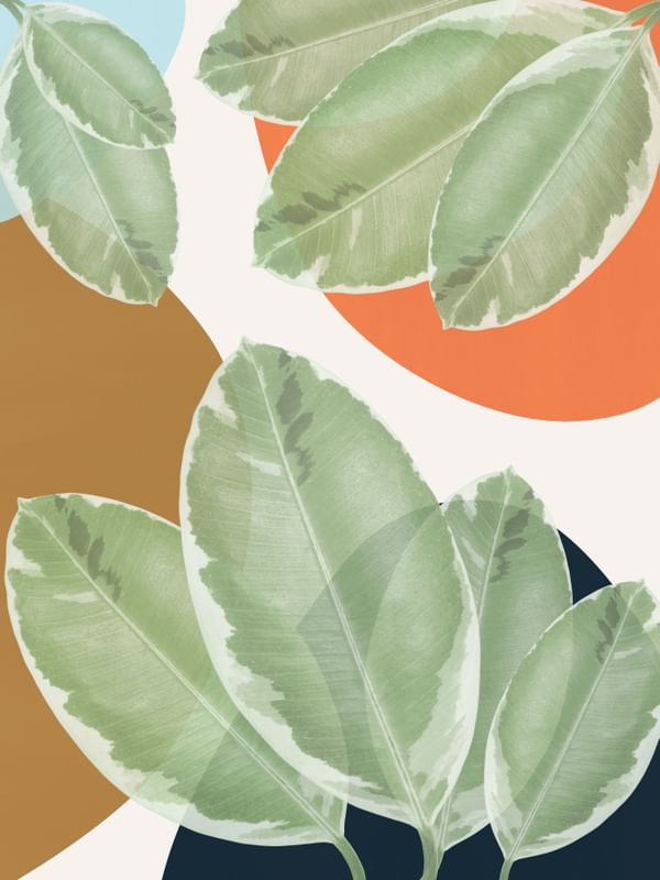 MINIMAL FLORAL 37