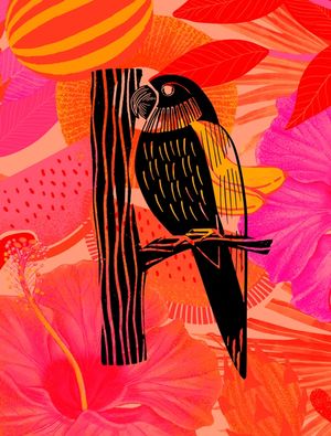 COLORBIRD