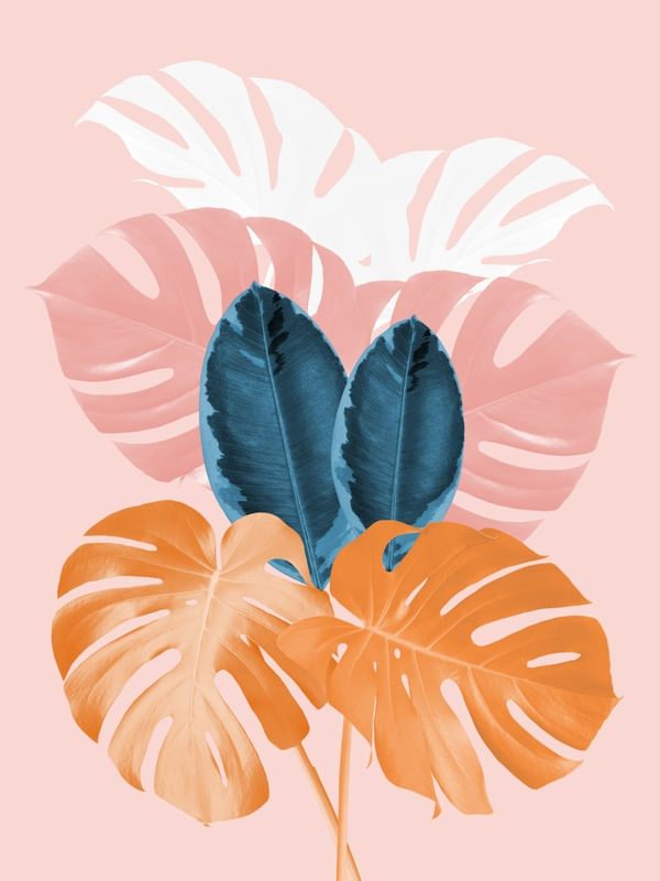 MINIMAL FLORAL 38